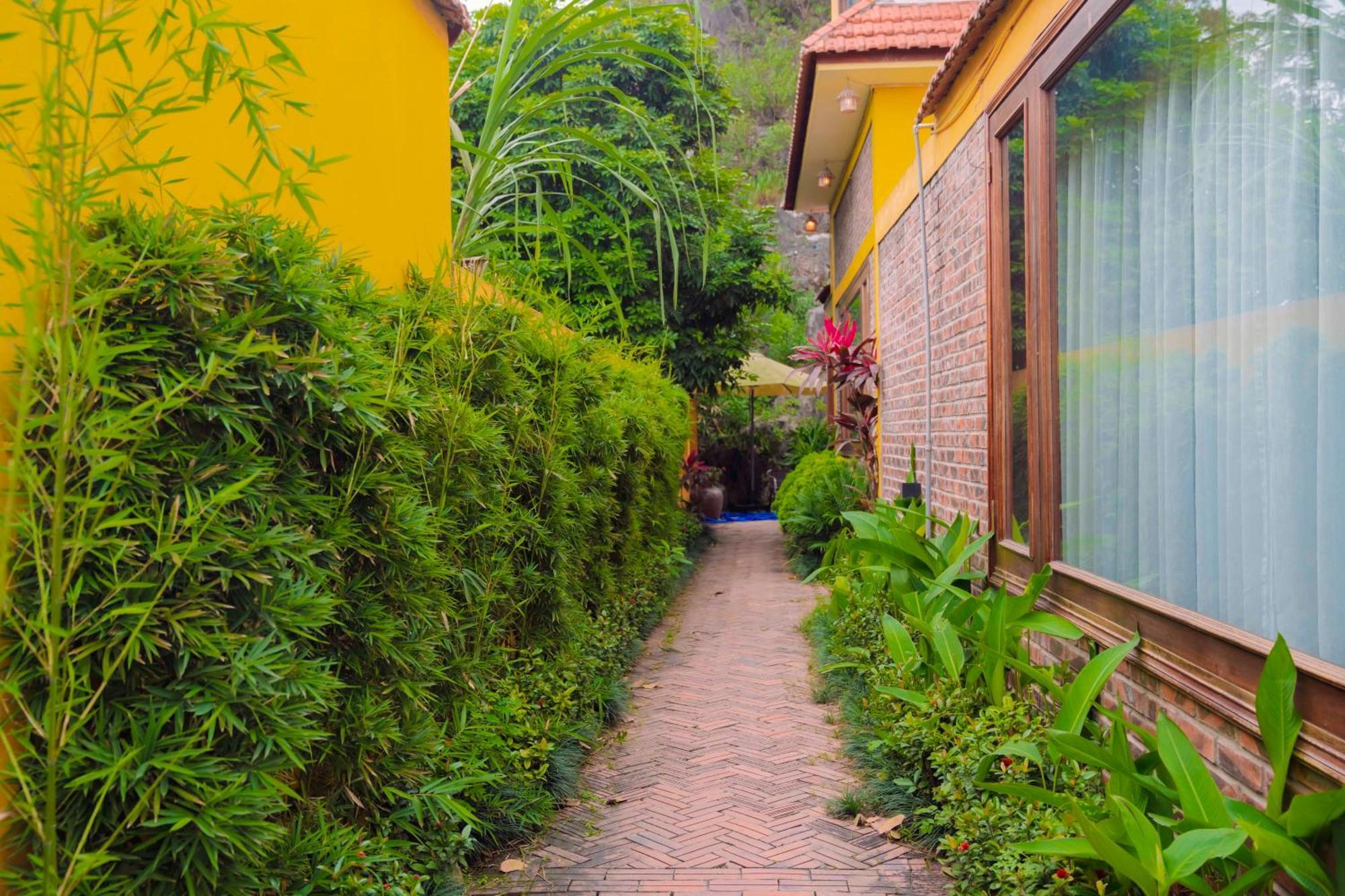 Апартаменты Papaya Bungalow & Rice Fields Ниньбинь Экстерьер фото