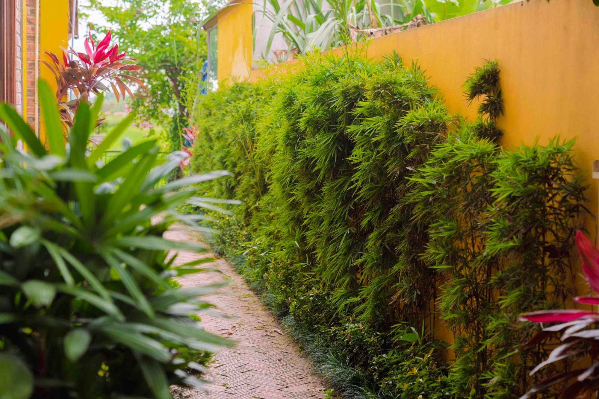 Апартаменты Papaya Bungalow & Rice Fields Ниньбинь Экстерьер фото